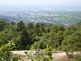 2009-09-19 (09) Oberhalb Badenweiler